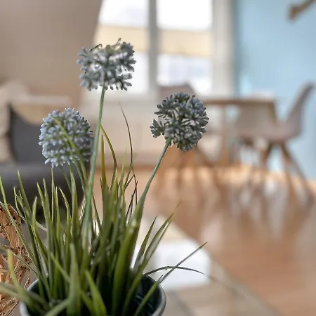 Apartman Waterkant 21 - Netzboden *